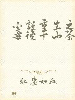小说重生之将门毒后千山茶客免费全集