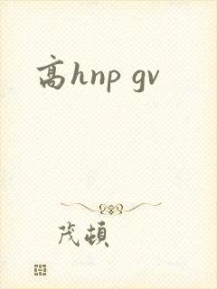 高hnp gv