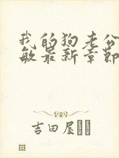 我的狗老公张淑敏最新章节免费阅读
