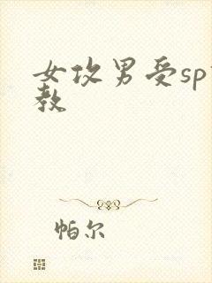 女攻男受sp调教