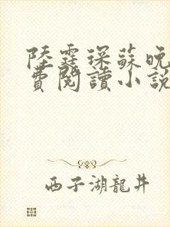 陆霆琛苏晚意免费阅读小说
