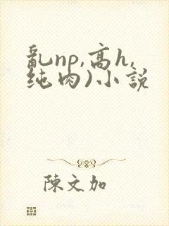 乱np,高h,纯肉)小说