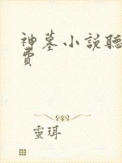 神墓小说听书免费