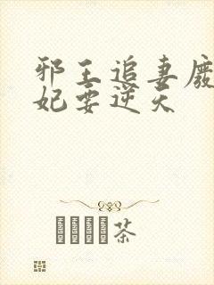 邪王追妻废材狂妃要逆天