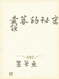 黄蓉的秘密h小说