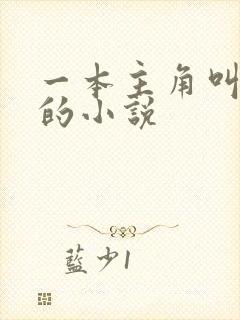 一本主角叫林萧的小说
