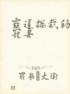 霸道总裁的二婚宠妻