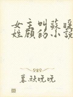 女主叫苏暖男主姓顾的小说