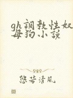 gh调教性奴隶母狗小说