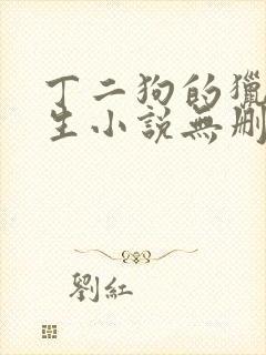 丁二狗的猎艳人生小说无删减下载封面