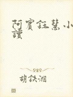 阿宾钰慧小说阅读