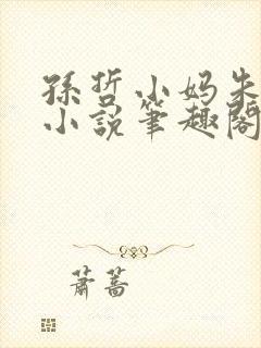 孙哲小妈朱颜的小说笔趣阁