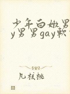 少年白嫩男gay男男gay软件