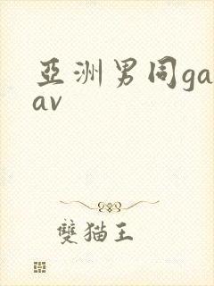 亚洲男同gayav封面