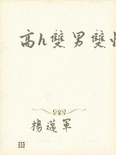 高h双男双性
