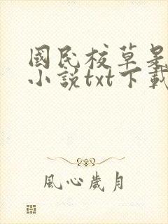 国民校草是女生小说txt下载