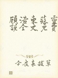 顾浩东苏灵柔小说全文免费阅读笔趣阁封面