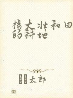 杨大壮和田桂花的耕地封面