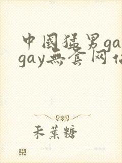 中国猛男gaygay无套网站
