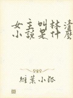 女主叫林清雪的小说是什么