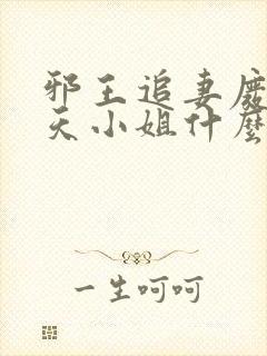 邪王追妻废材逆天小姐什么时候写的
