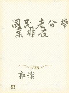 国民老公带回家 叶非夜