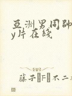 亚洲男同帅gay片在线