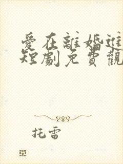 爱在离婚进行时短剧免费观看