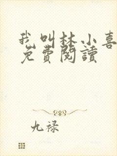我叫林小喜全文免费阅读