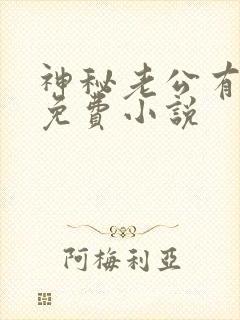 神秘老公有点坏免费小说