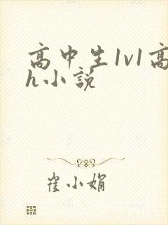 高中生1v1高h小说