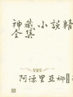 神藏小说精校版全集