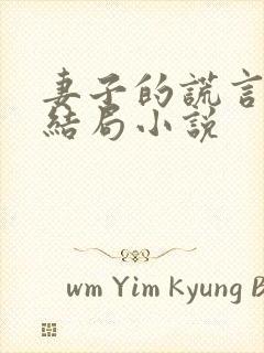 妻子的谎言程心结局小说