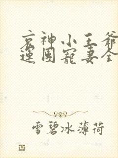 哀神小王爷的福运团宠妻全文阅读