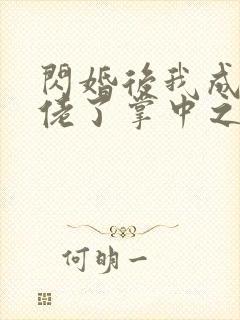 闪婚后我成了大佬了掌中之物封面