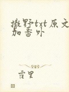 撒野txt原文加番外
