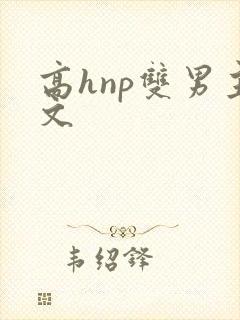 高hnp双男主文