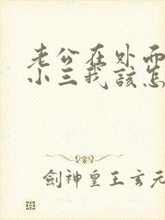 老公在外面有了小三我该怎么办封面