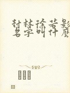 封林徐若影小说名字叫什么