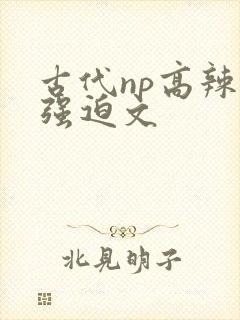 古代np高辣h强迫文封面
