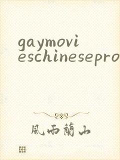 gaymovieschinesepron