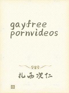 gayfreepornvideos