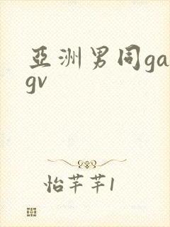 亚洲男同gaygv