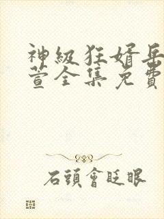 神级狂婿岳风柳萱全集免费