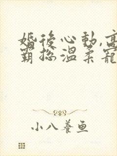 婚后心动,高冷霸总温柔宠