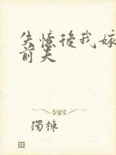 失忆后我嫁给了前夫