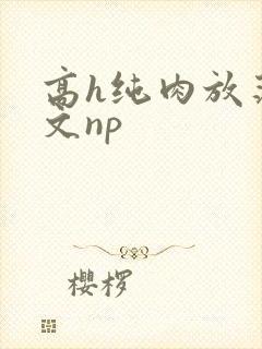 高h纯肉放荡h文np封面