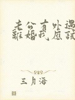 老公有外遇提出离婚我应该怎么办?