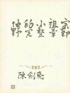 他的小祖宗甜又野完整章节下载