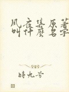 夙夜集原著小说叫什么名字
